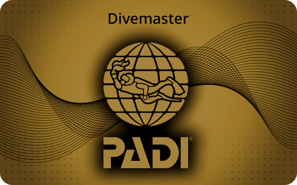 Curso PADI divemaster en Costa Rica