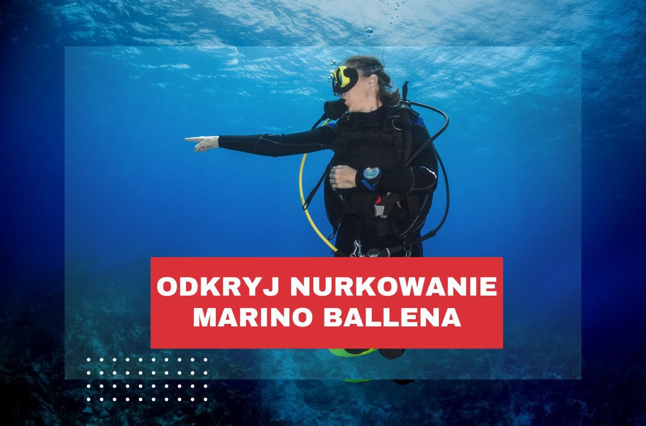 odkryj-nurkowanie-w-kostaryce-marino-ballena